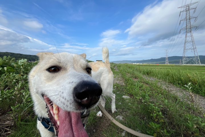 笑顔のぽっちゃん